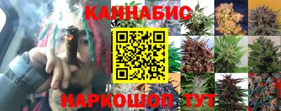гидропоника Ливны
