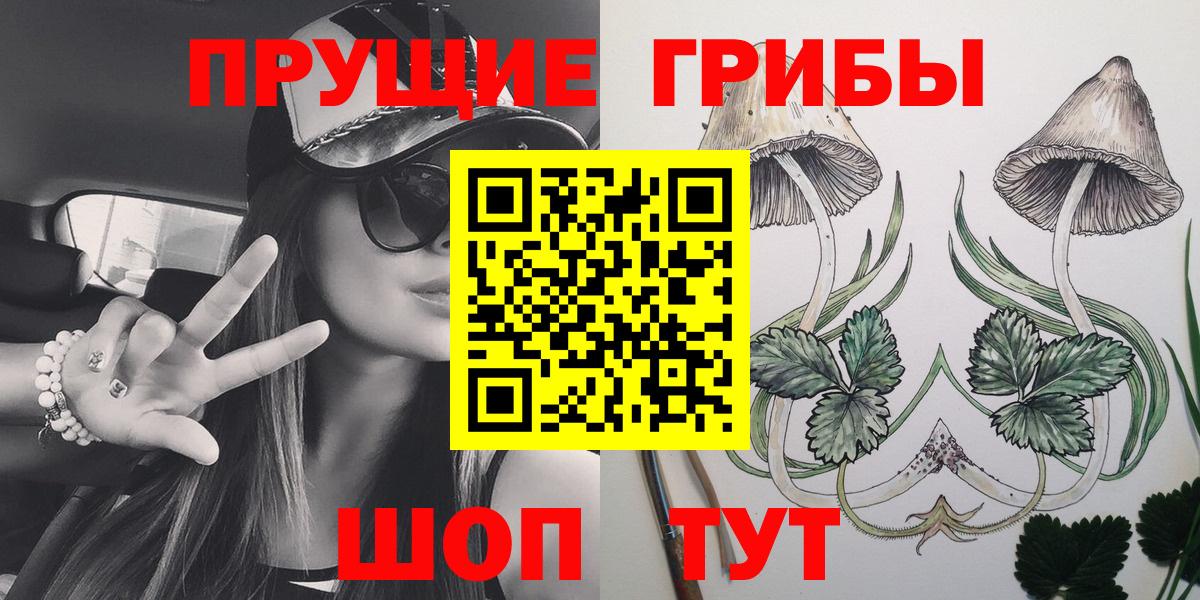 Псилоцибиновые грибы GOLDEN TEACHER Зима