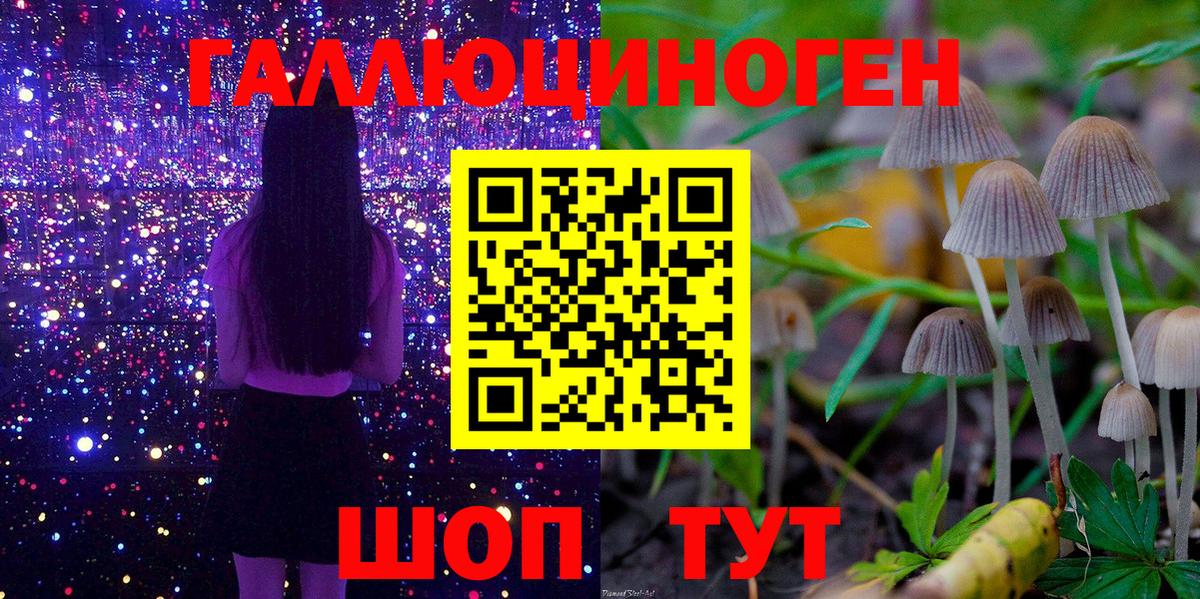 Зима  Псилоцибиновые грибы MAGIC MUSHROOMS  закладки  Вход с VPN 